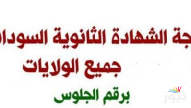 “فور توافرها” رابط استعلام نتيجة الشهادة السودانية 2025 بالاسم والرقم الامتحانى عبر الموقع الرسمى mohe.gov.sd