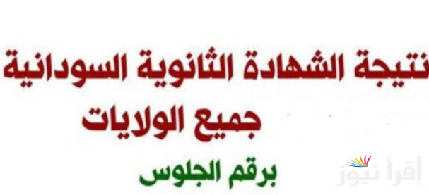 “فور توافرها” رابط استعلام نتيجة الشهادة السودانية 2025 بالاسم والرقم الامتحانى عبر الموقع الرسمى mohe.gov.sd